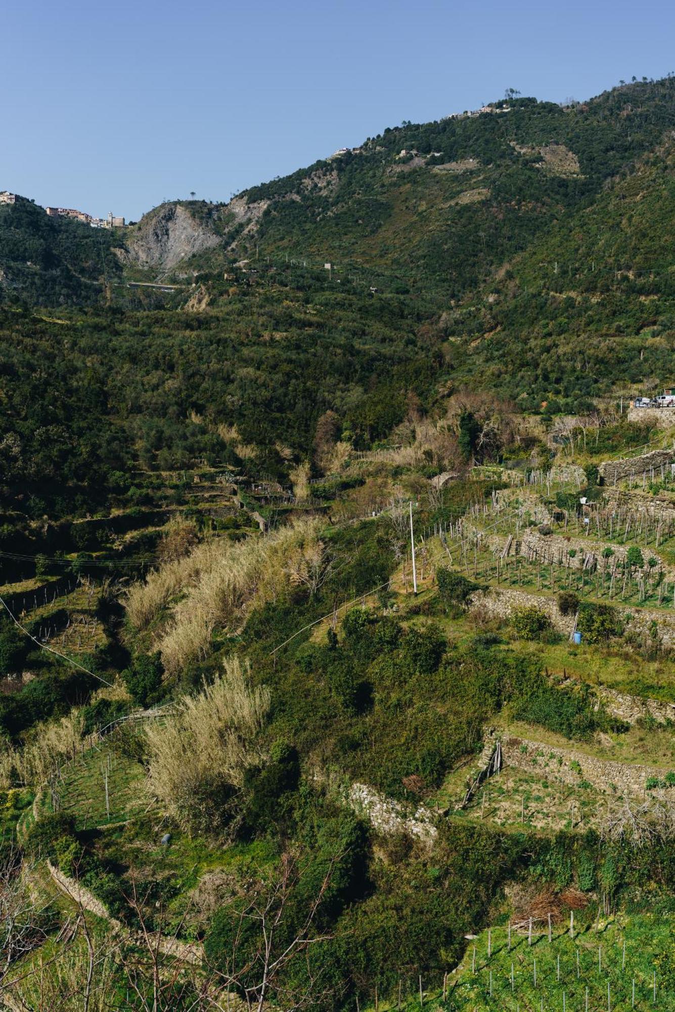 Punto Zero Ξενοδοχείο Corniglia Εξωτερικό φωτογραφία